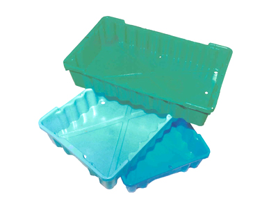 Morning Dew